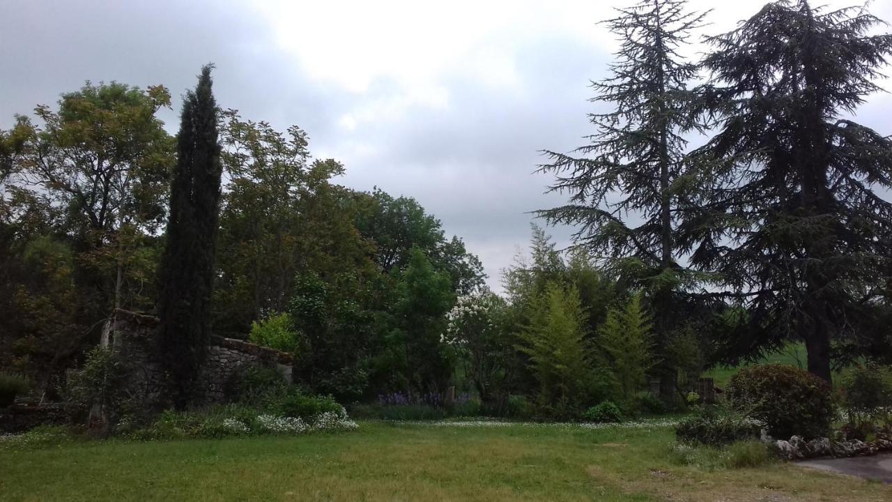 Fargues  Domaine De Seguela Bed & Breakfast エクステリア 写真