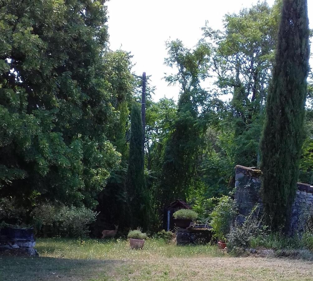 Fargues  Domaine De Seguela Bed & Breakfast エクステリア 写真