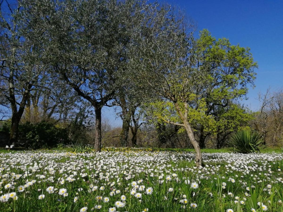 Fargues  Domaine De Seguela Bed & Breakfast エクステリア 写真