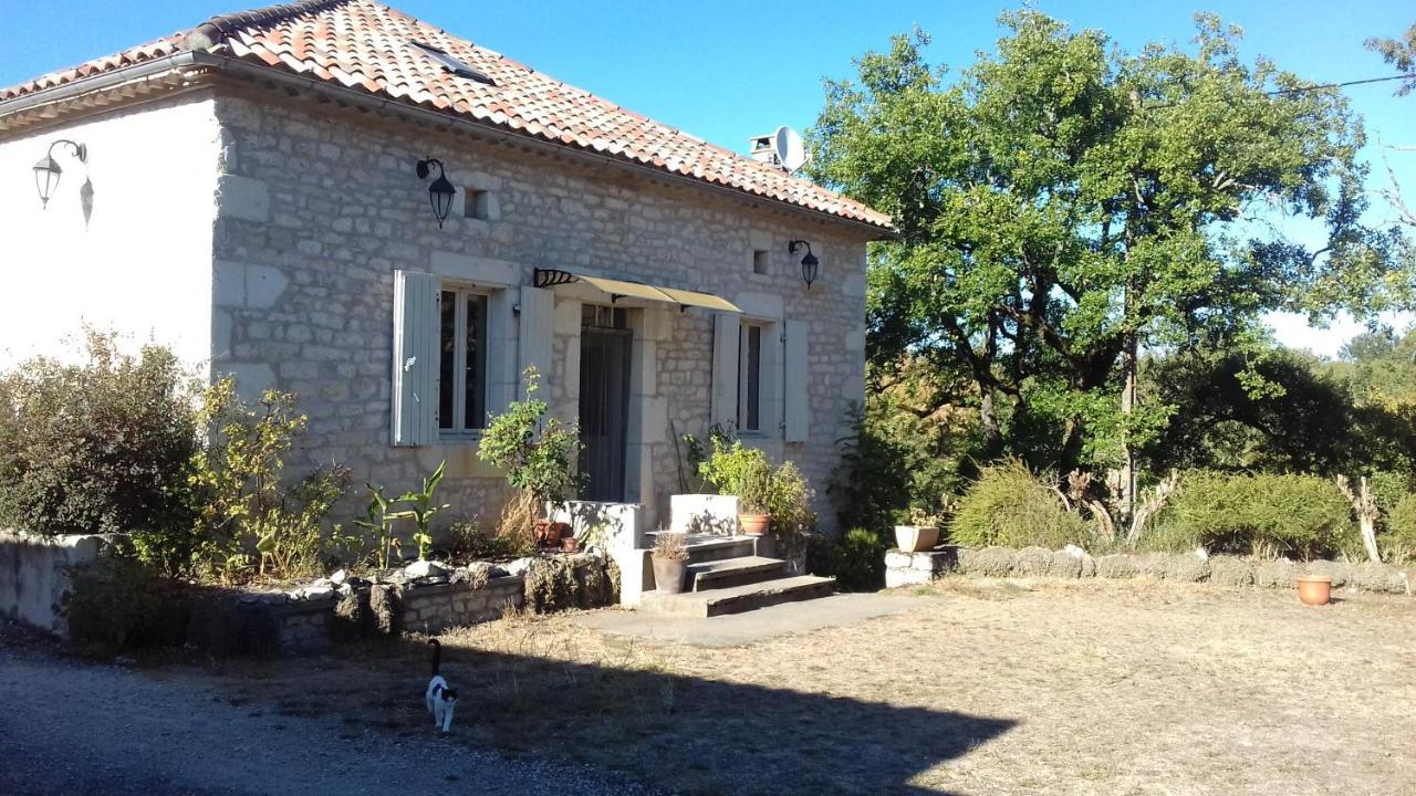 Fargues  Domaine De Seguela Bed & Breakfast エクステリア 写真