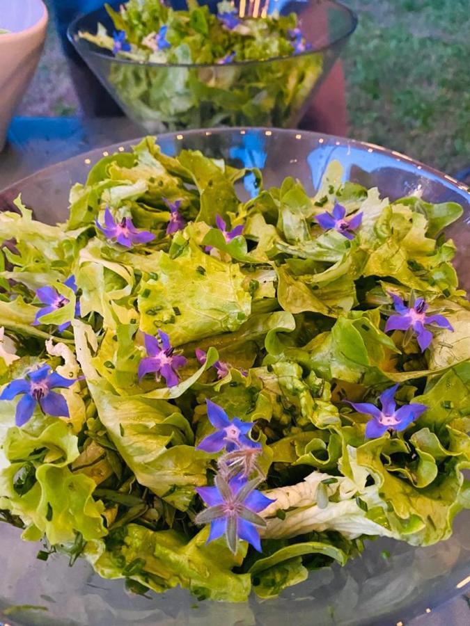 Fargues  Domaine De Seguela Bed & Breakfast エクステリア 写真