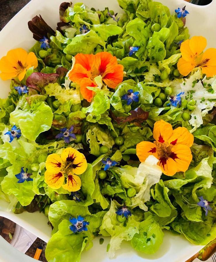 Fargues  Domaine De Seguela Bed & Breakfast エクステリア 写真