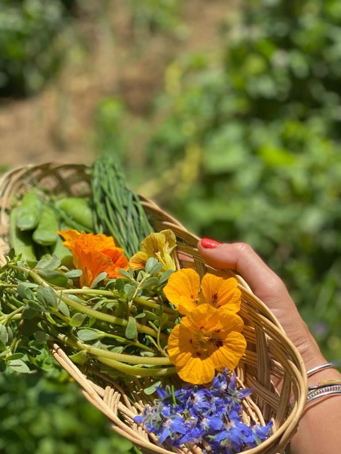 Fargues  Domaine De Seguela Bed & Breakfast エクステリア 写真